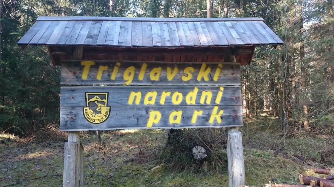 Zajcek Apartma Mojstrana Eksteriør bilde