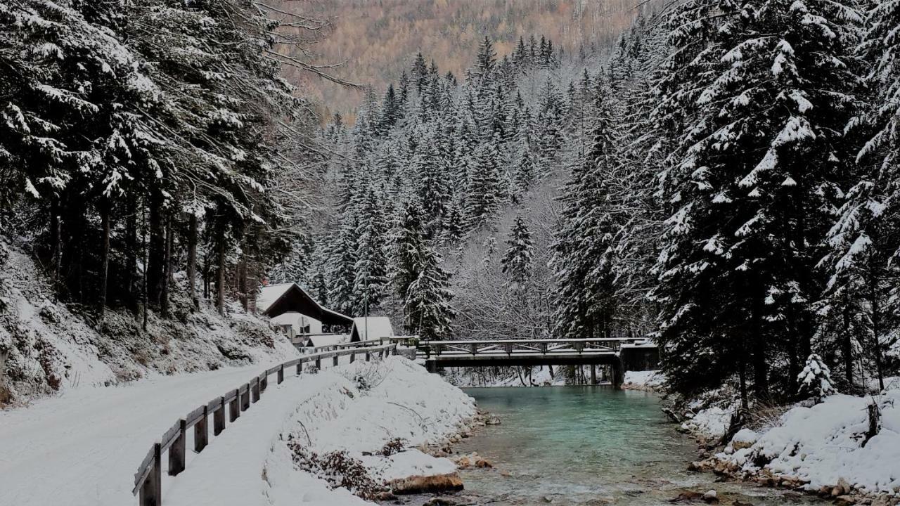 Zajcek Apartma Mojstrana Eksteriør bilde