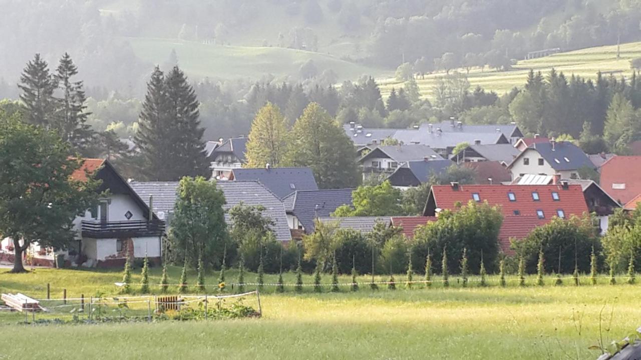 Zajcek Apartma Mojstrana Eksteriør bilde