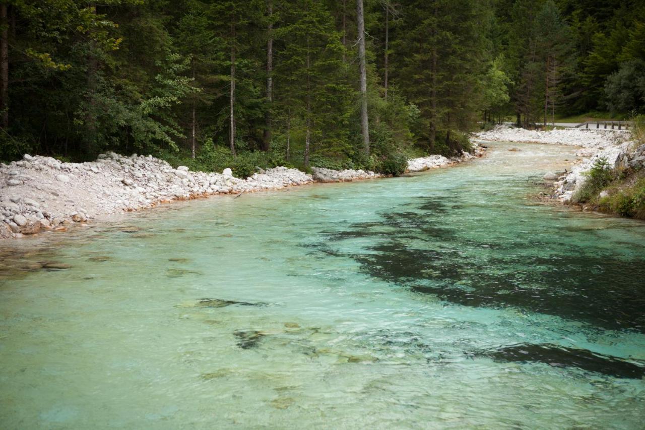 Zajcek Apartma Mojstrana Eksteriør bilde